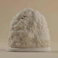 90015 Megmondtuk 1 90015 Megmondtuk 1