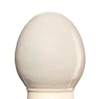 Glazur-suspenziya-RSG-9005-1-kg-REFSAN-1