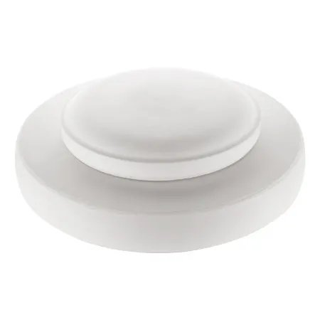 Linza-dla-formovki-i-sushki-tarelka-ploskaya- d22 sm-2