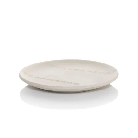 Linza-dla-formovki-i-sushki-tarelka-ploskaya- d22 sm-4