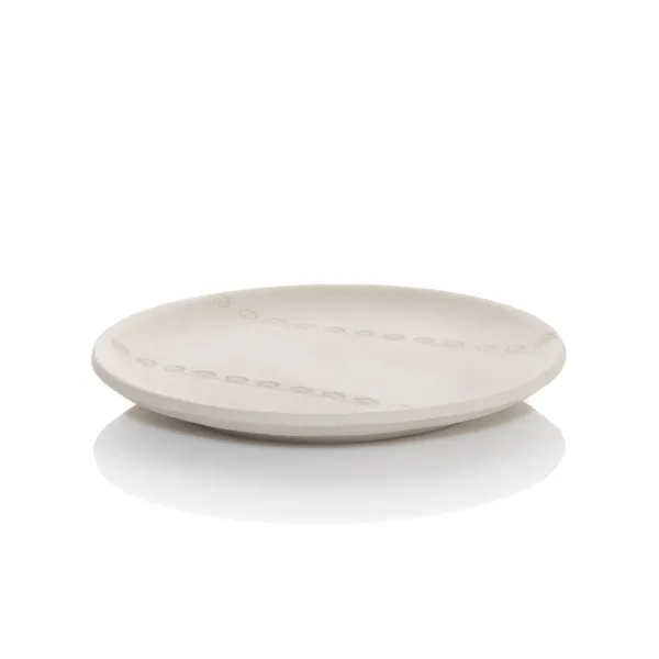 Linza-dla-formovki-i-sushki-tarelka-ploskaya- d22 sm-4 Linza-dla-formovki-i-sushki-tarelka-ploskaya- d22 sm-4