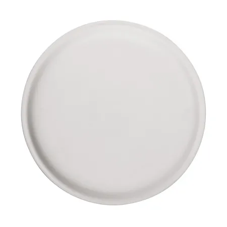 Linza-dla-formovki-i-sushki-tarelka-ploskaya- d22 sm-3