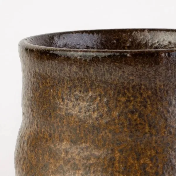 glazur-10013-theloderma-bicolor-ovo-ceramics-2 glazur-10013-theloderma-bicolor-ovo-ceramics-2