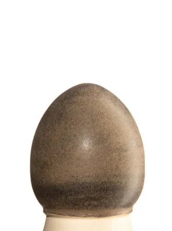 glazur-1412-drevesnyy-ugol-spectrum-1