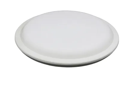 Linza-dla-formovki-i-sushki-tarelka-ploskaya- d23 sm-2 Linza-dla-formovki-i-sushki-tarelka-ploskaya- d23 sm-2