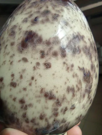 Glazur-SG 1285-Chia-(118 мл), REFSAN-3 Glazur-SG 1285-Chia-(118 мл), REFSAN-3