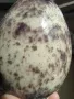 Glazur-SG 1285-Chia-(118 мл), REFSAN-5 Glazur-SG 1285-Chia-(118 мл), REFSAN-5