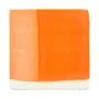 angob_oranjeviy_60_ml_Glavglazur_2 angob_oranjeviy_60_ml_Glavglazur_2