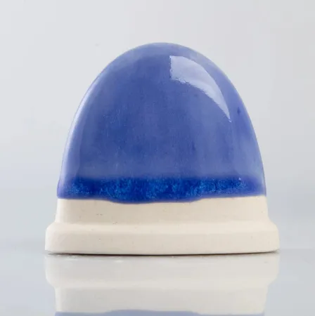 Glazur-10023-Paracheirodon- Innesi-1