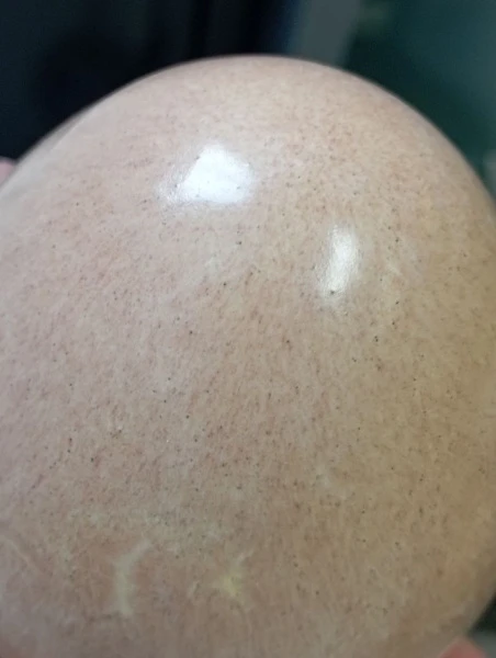 Glazur-C 2084-kremovaya-(118 мл), REFSAN-2