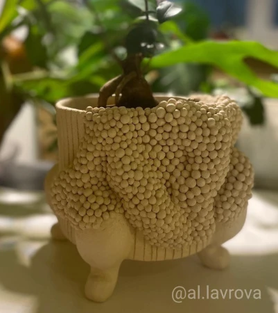 ge221imp-belaya-glina-r-b-10-kg-3