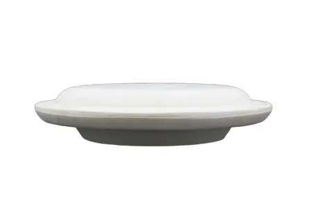 Linza-dla-formovki-i-sushki-tarelka-ploskaya- d21-5 sm-1