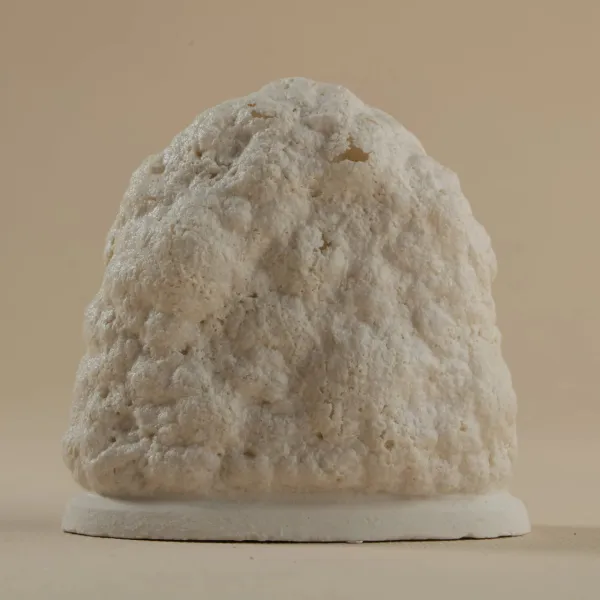 90015 Megmondtuk 2 90015 Megmondtuk 2