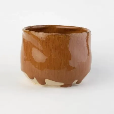 glazur-10019-ecnomiohyla-rabborum-ovo-ceramics-4