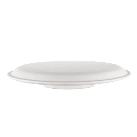 Linza-dla-formovki-i-sushki-tarelka-ploskaya- d31 sm-1